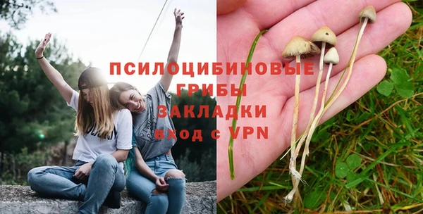 прущий лед Липки