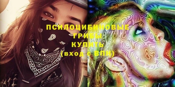 твердый Лабытнанги