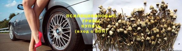 тгк Лихославль