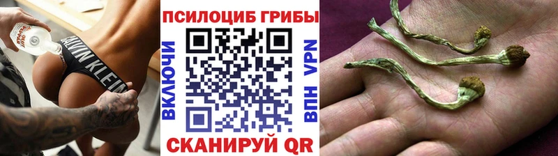 Галлюциногенные грибы Cubensis  где найти   omg ссылка  Приволжский 