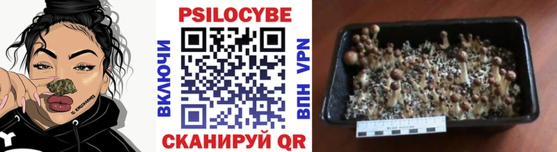 Псилоцибиновые грибы мухоморы Приволжский