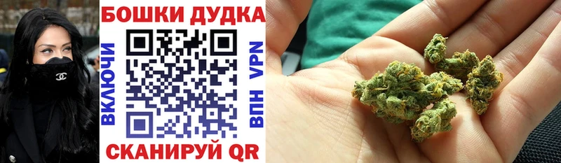 Шишки марихуана план  omg как войти  Приволжский 